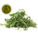 Pesto di Rucola (senza formaggio) Colle di seta 4.09